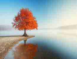 专‍业​数​据‍备‌份‍教​程﻿